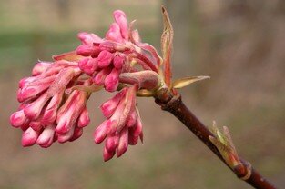 2017-03-14.jpg