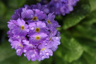 2017-03-18.jpg